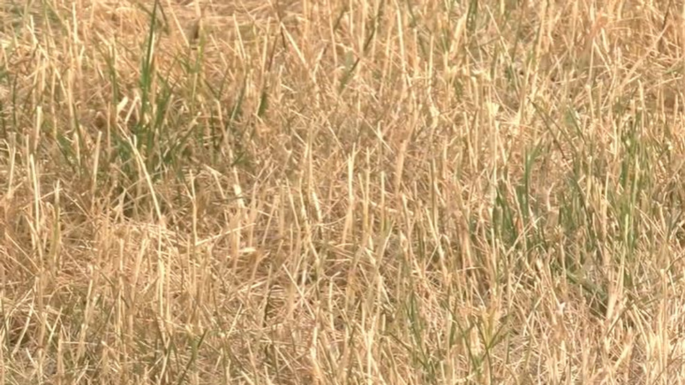 Dry October Leaves Parts of Minnesota Thirsty for Rain