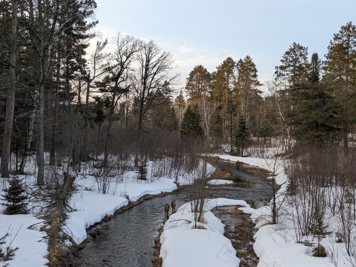 Good for Mental Health to get Outdoors over the next month